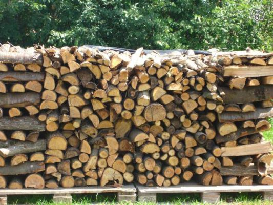 Obtenir du bois de chauffage livré rapidement à votre domicile dans le médoc